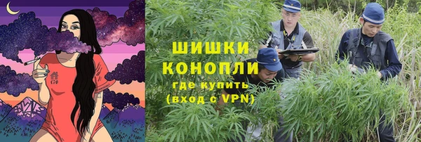мет Ладушкин