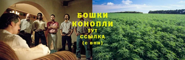мет Ладушкин