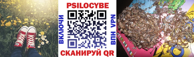 Галлюциногенные грибы Cubensis Электросталь
